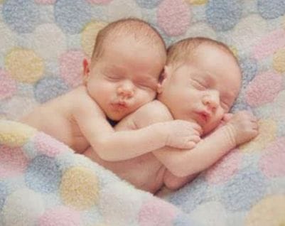 成功案例